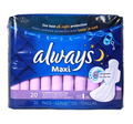 Always Night 36 Pack
